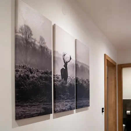 Waldherz Wald im Pinzgau