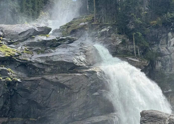 Waldherz * Wald im Pinzgau